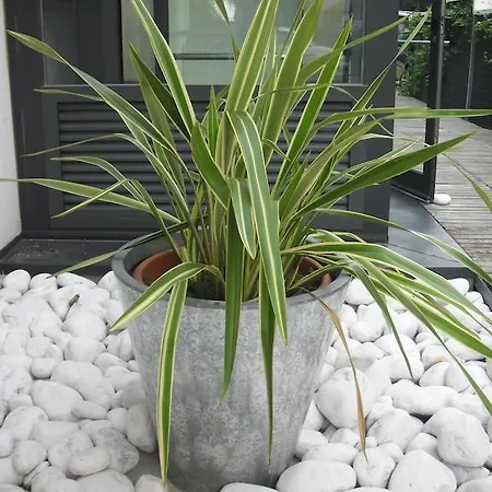 Garden 3*