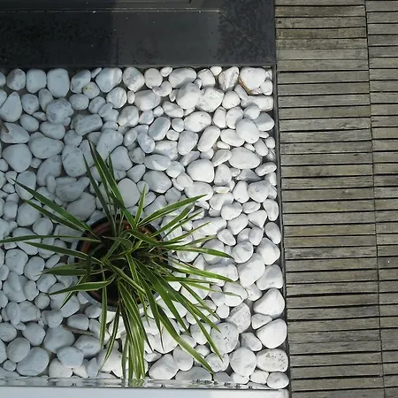 Hotel Garden