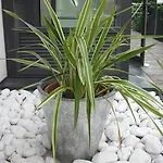 Garden 3*