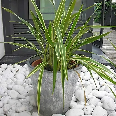 Garden Otel Lignano Sabbiadoro