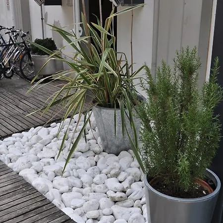 Garden فندق لينانو سابيادورو